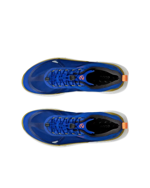ECCO® BIOM 2.2 Herren Textilsneaker - Blau - Top_Left_Pair