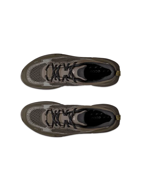 ECCO BIOM 2.2 M - Grau - Top_Left_Pair