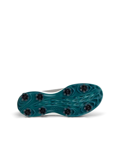 Męskie wodoodporne skórzane buty do golfa z kolcami  ECCO® Golf Biom Tour - Szary - S