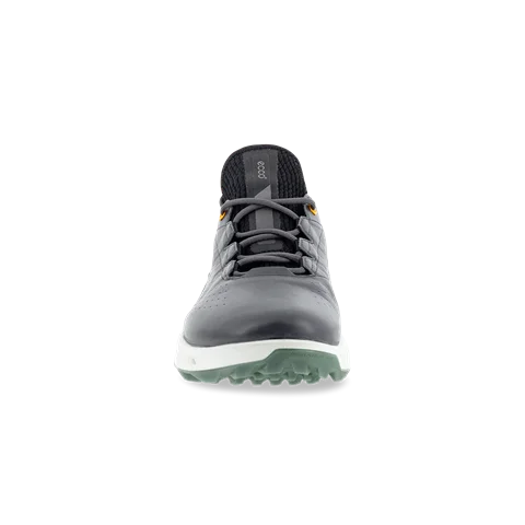 Męskie skórzane buty do golfa z Gore-Tex ECCO® Golf Biom C4 - Szary - Front
