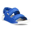 Kids' ECCO® Cozmo 60 Leather Two Strap Sandal - Blue - Main