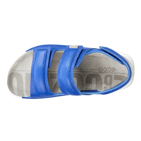 Kids' ECCO® Cozmo 60 Leather Two Strap Sandal - Blue - Top