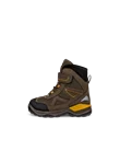 ECCO SNOW MOUNTAIN - Brun - O