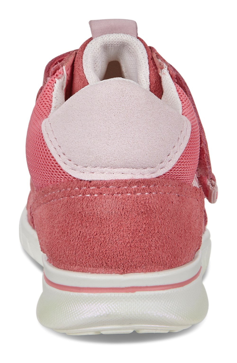 ecco first pink