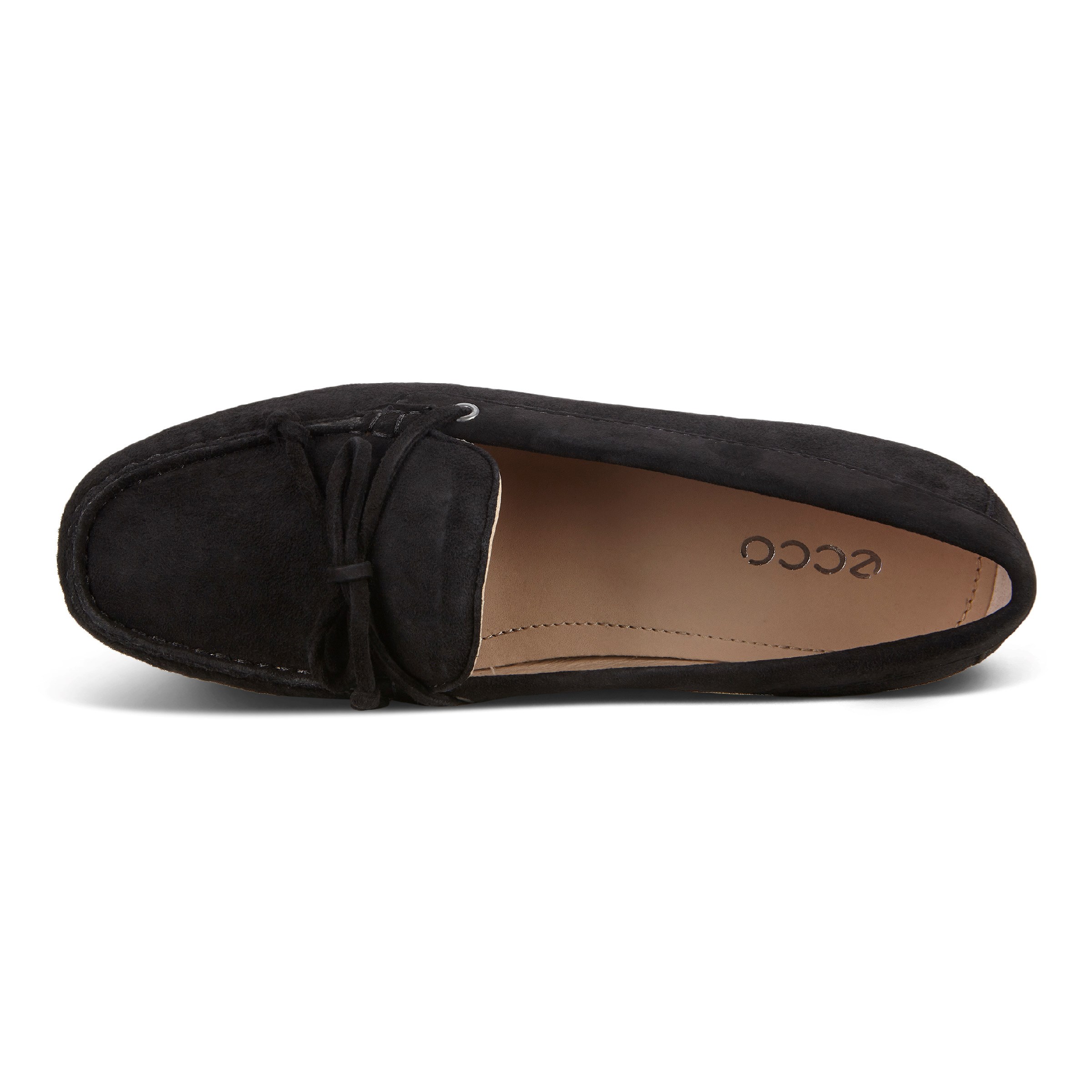 ecco devine moc