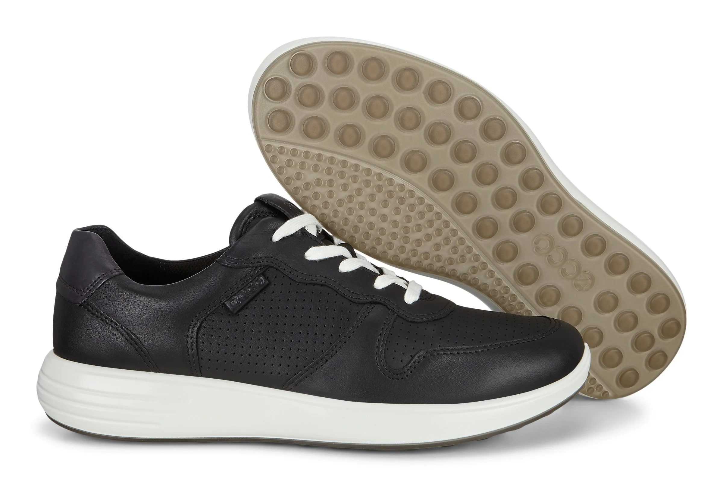 ecco soft