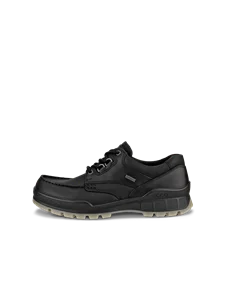 Moški Gore-Tex usnjeni čevlji z vidnimi šivi  ECCO® Track 25 - črna - O