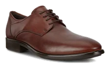 Men's ECCO® Citytray Leather Derby Shoe - Brown - Nfh