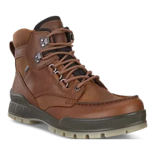 Men's ECCO Track 25 Leather Gore-Tex Mid-Cut Outdoor Boot - Brown - Main