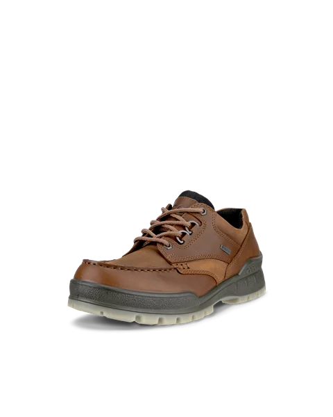 Męskie skórzane buty Gore-Tex z przeszyciem ECCO® Track 25 - Brązowy - M