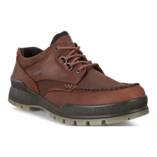 ECCO® Track 25 Herren Gore-Tex Schuh aus Leder - Braun - Main