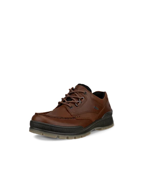 ECCO® Track 25 Herren Outdoor-Schuhe aus Leder mit Gore-Tex - Braun - M