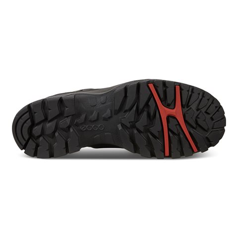 811263 51526 sole