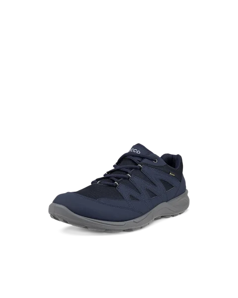 Sapatos caminhada Gore-Tex homem ECCO® Terracruise LT - Azul - M