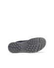 Sapatos caminhada Gore-Tex homem ECCO® Terracruise LT - Azul - S