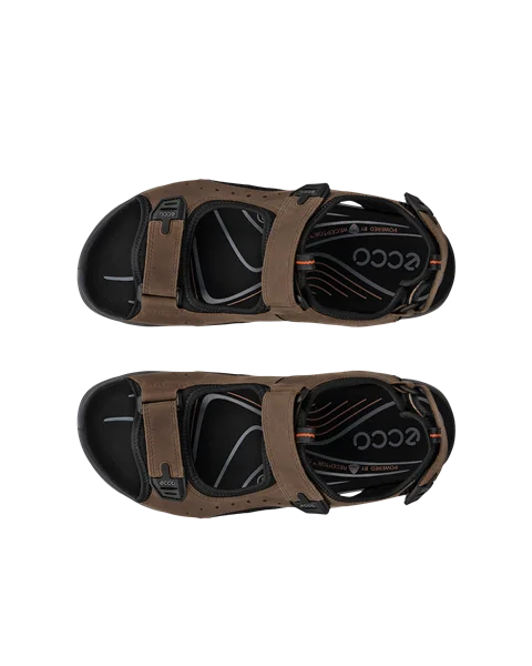 Men's ECCO® Offroad Andes II Nubuck Hiking Sandal - Brown - Top_Left_Pair