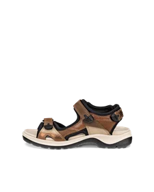 ECCO OFFROAD - Braun - O