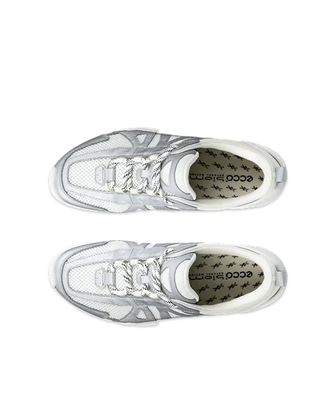 ECCO® Biom C-Trail tekstiliniai žygio sportbačiai moterims - Sidabrinė - Top_Left_Pair