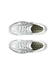ECCO® Biom C-Trail tekstiliniai žygio sportbačiai moterims - Sidabrinė - Top_Left_Pair